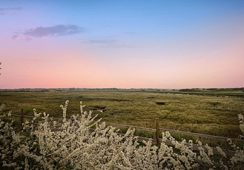 5 bedroom house for sale - Dairy Farm Meadow, St. Osyth, Clacton-on-Sea, Essex, CO16 - Property View 1