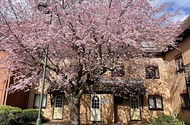 2 bedroom apartment to rent - Heron Wharf, Nottingham, Nottinghamshire, NG7