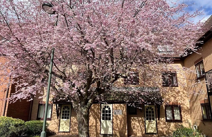 2 bedroom apartment to rent - Heron Wharf, Nottingham, Nottinghamshire, NG7