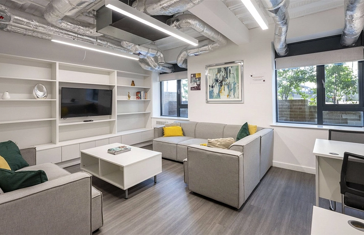 1 bedroom studio to rent - Hollingdean Road, Brighton, East Sussex, BN2