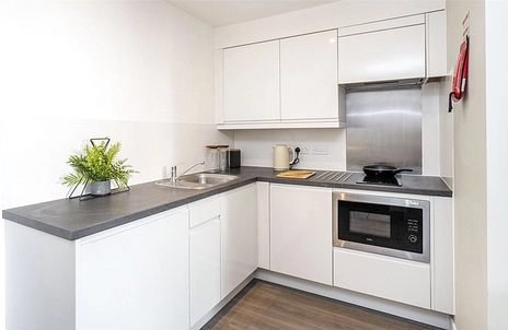 1 bedroom studio to rent - Hollingdean Road, Brighton, East Sussex, BN2 - Property View 3