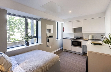 1 bedroom studio to rent - Hollingdean Road, Brighton, East Sussex, BN2 - Property View 2