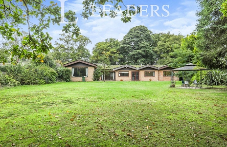 4 bedroom house to rent - Playford Road, Little Bealings, Woodbridge, IP13 - Property View 2